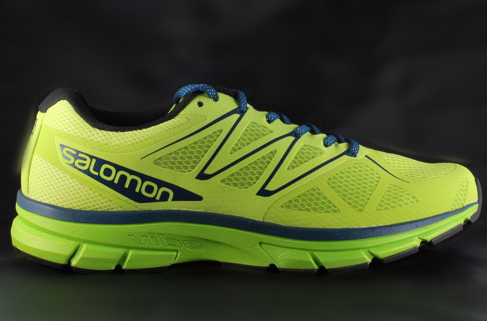 salomon sonic 3d flex
